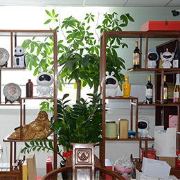 ��˾չ��-�����н���ʥ���ӿƼ����޹�˾