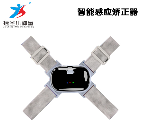 ���ܸ�Ӧ������-�����н���ʥ���ӿƼ����޹�˾